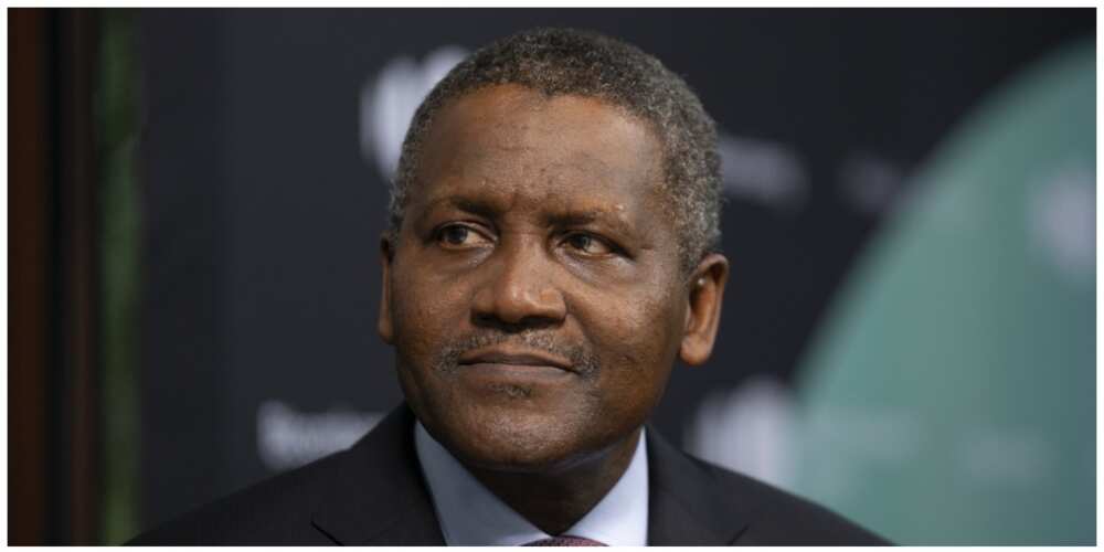 Dangote Set to Receive Over N200billion as Dividend from Cement Company