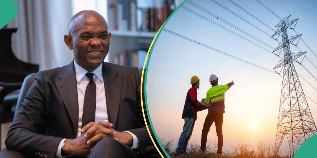 Hope as Nigerian billionaire Tony Elumelu advises FG how to stabilise power supply