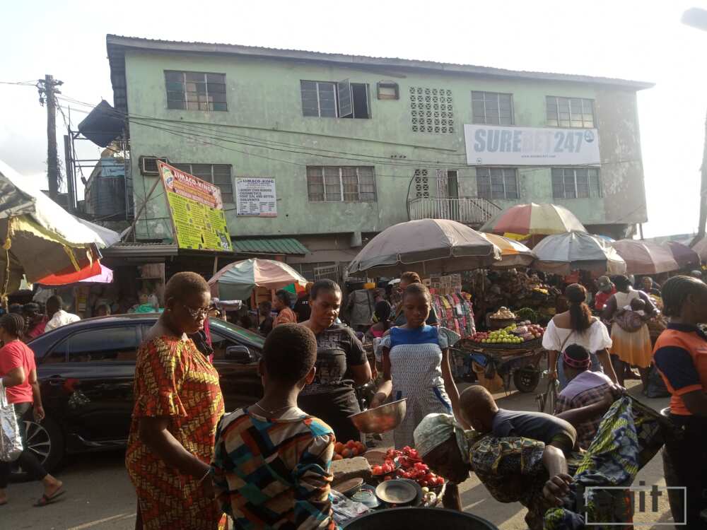 Legit.ng weekly price check, rice, ogbono, egusi, Lagos market, Ojota market