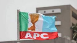 2023 elections: Over 200 APC members in northern governor’s neighbourhood defect to PDP
