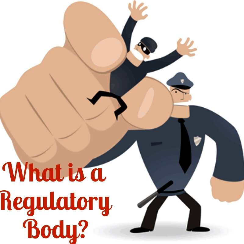 Definition of a Regulatory Body