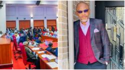 Senate rejects motion seeking release of IPOB leader Nnamdi Kanu, reveals how FG should handle the matter