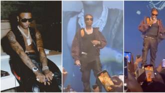 Beryl TV f2365372d727f6d5 “One Love, Go Sing for Them”: Wizkid Hops Into His Car As Upcoming Artiste Tries to Impress Him in Video 