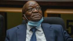 S.Africa's Zuma appeals ruling to send him back to jail