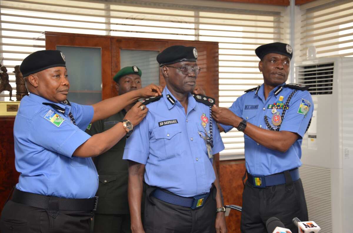 Nigerian Police Ranks, Symbols, Duties And Salaries 2022 - Legit.ng