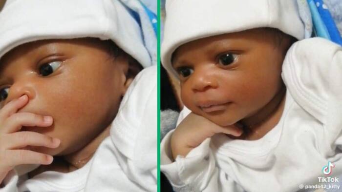 "This is not the family I ordered": Newborn baby's expression gets 1 million views, video trends