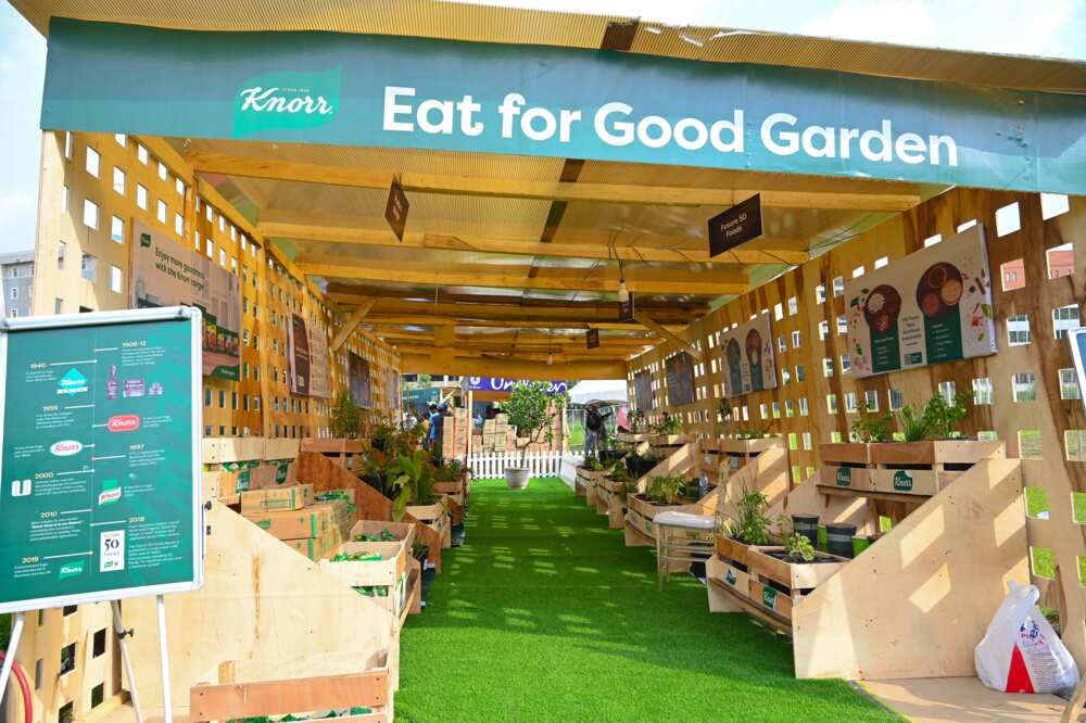 Spicing Up the Capital: Knorr Jollof Fest Thrills Abuja Spicing Up the Capital: Knorr Jollof Fest Thrills Abuja