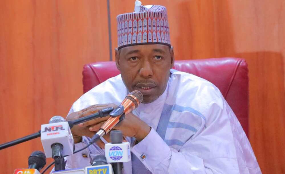 Gwamnan Borno a 2023: Dan takarar PDP ya zargi Zulum da son kai, ya sha alwashin tsige sa daga mulki