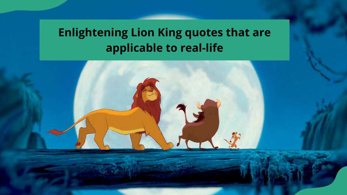 lion king movie quotes