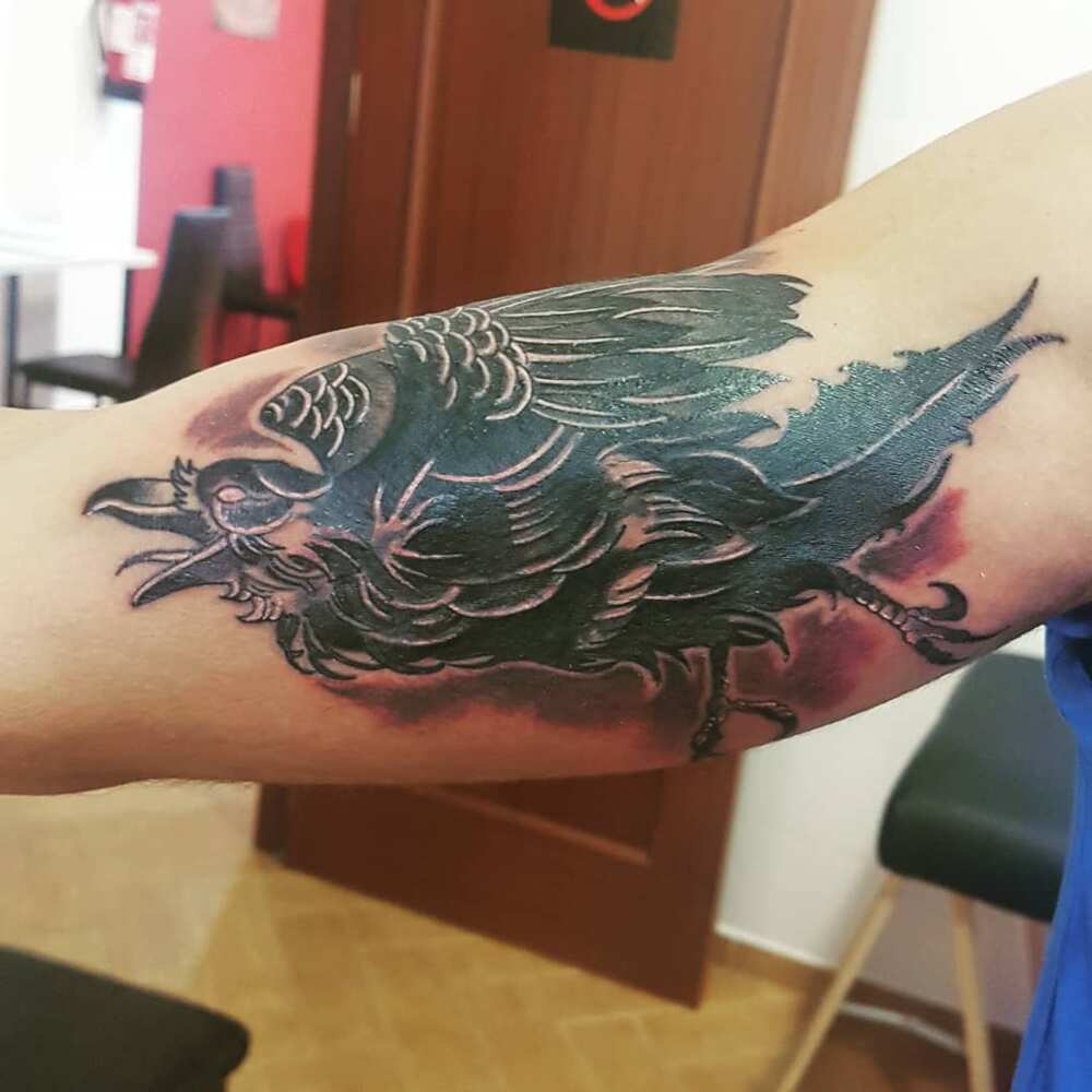 Raven tattoo