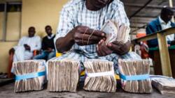 Currency traders warn CBN naira could hit N800/$1 as Nigerians now prefer to save in dollars