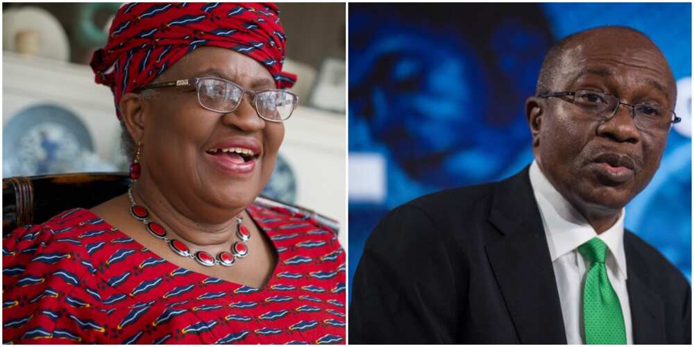Nigeria Needs Okonjo-Iweala, WTO's Help To Achieve Trade Goals - CBN's Godwin Emefiele