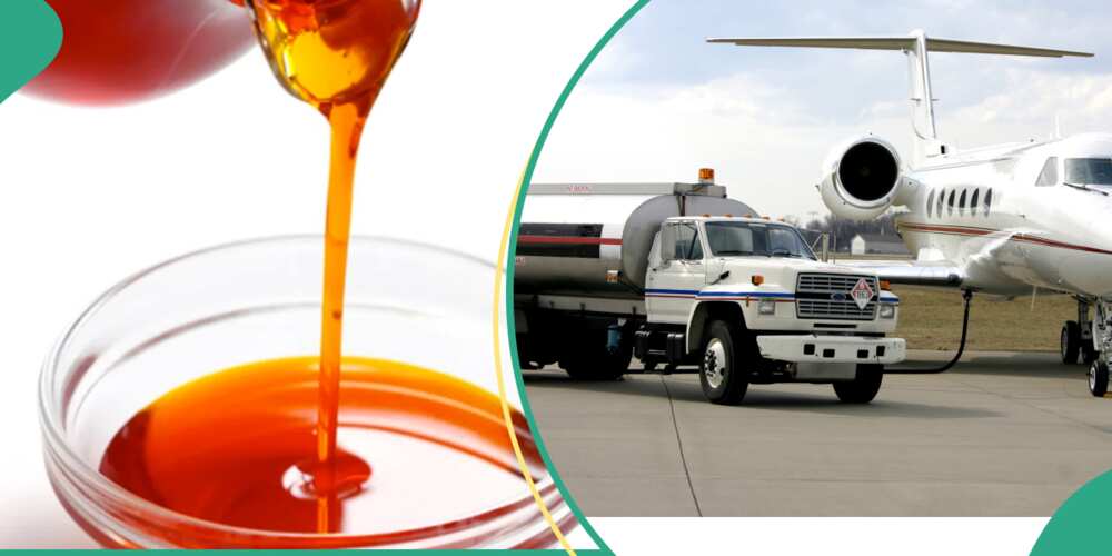 Palm Oil, Aviation Fuel Palm Oil, Aviation Fuel