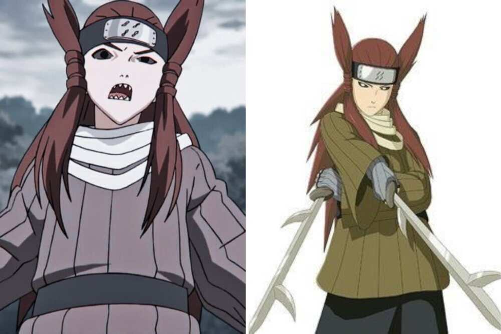 All Naruto female characters