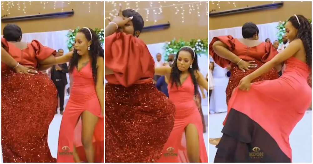 She Took Off Her Shoes”: Curvy Bridesmaids in Gowns Dance at Wedding,  Guests Observe Them 