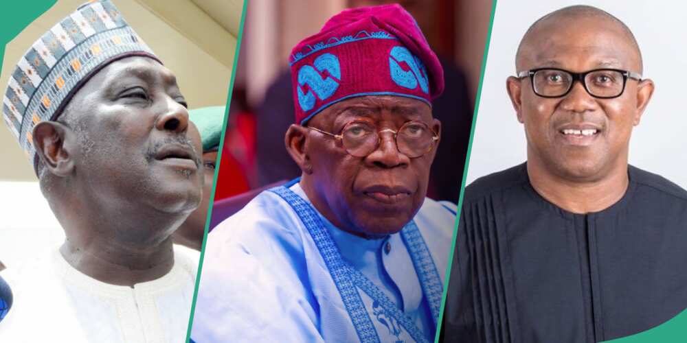 Babachir Lawal, Bola Tinubu, Peter Obi, LP, PDP, APC, 2023 election issues