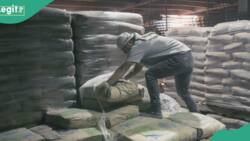 One of Nigeria’s top cement firms, Lafarge, speaks on recent price crash after meeting with FG