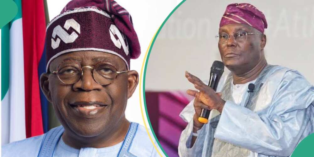 Atiku silent as Chicago State University releases Tinubu's record