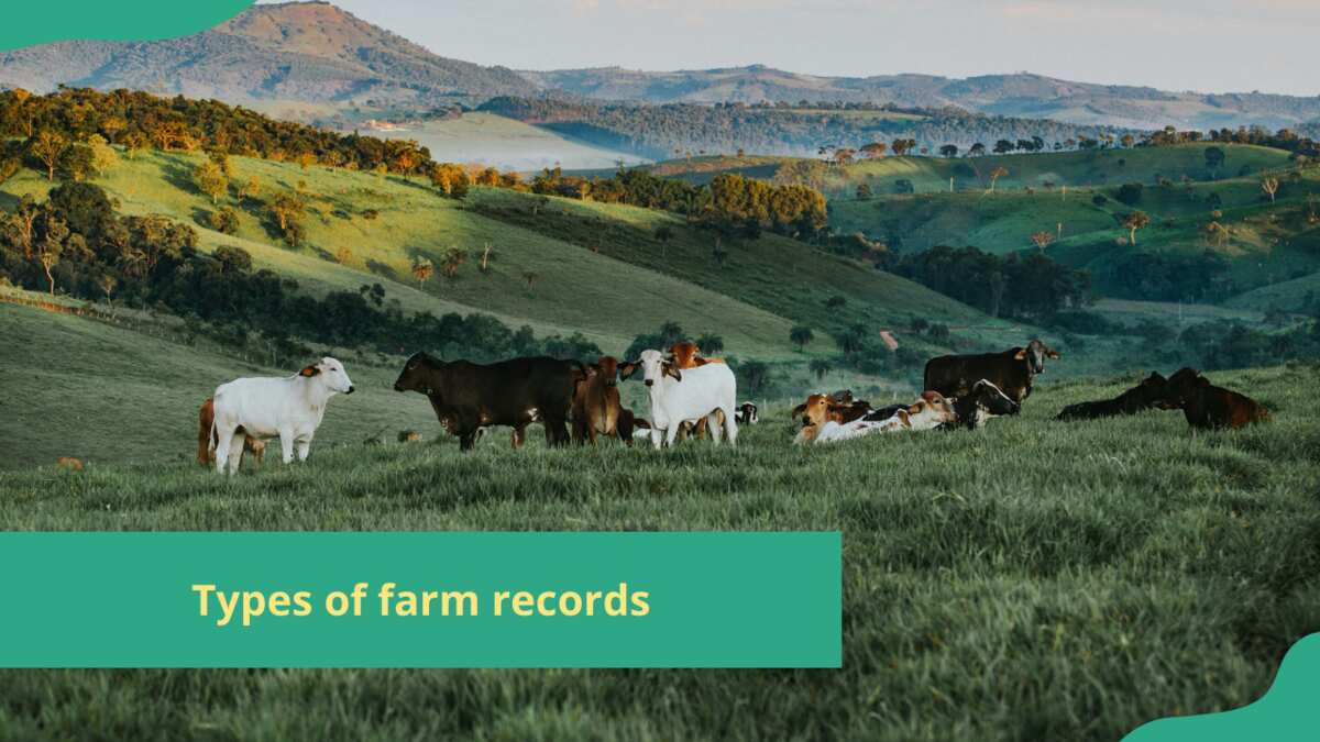 Types Of Farm Records And Their Uses