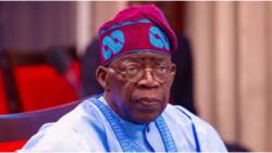 Excitement as Tinubu’s FG vows to share N50k to one million people in 774 LGAs, details emerge