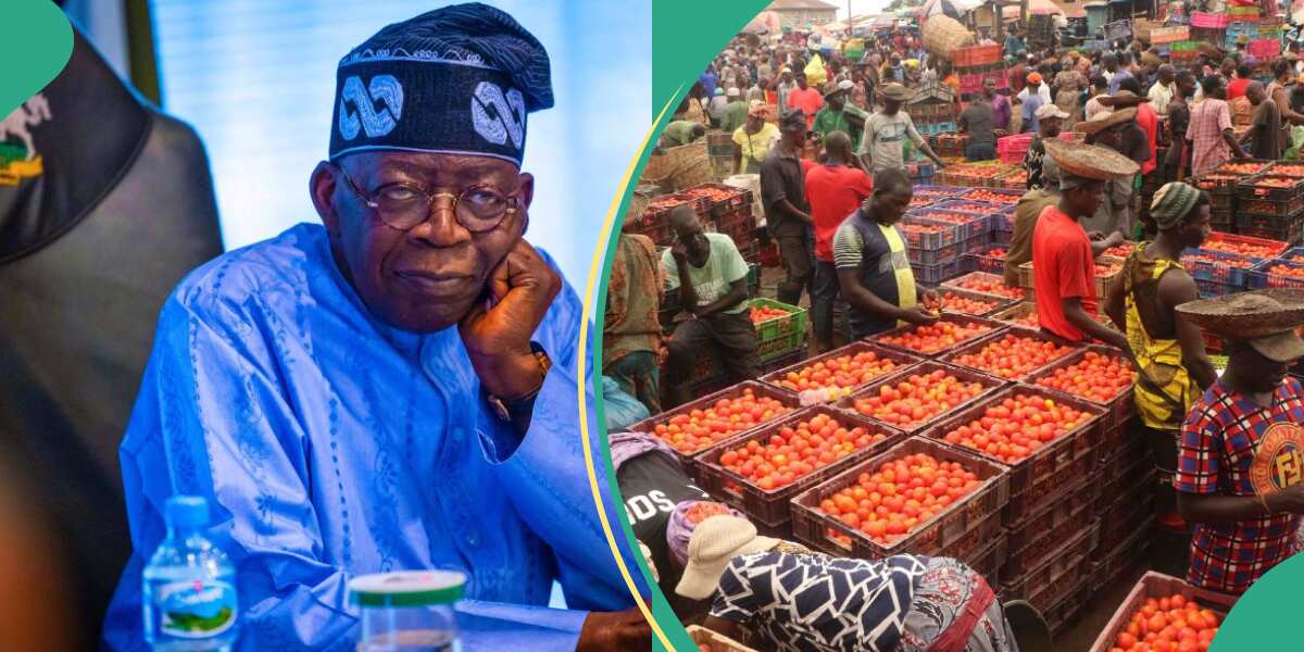 Transport, Food, Other Price Items To Rise As Inflation Hits 27-Year ...