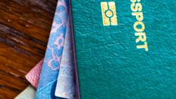 Dual citizenship and other types of citizenship in Nigeria