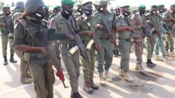 Police arrest 39 suspects, recover dangerous weapons in Abuja, Cross River, others