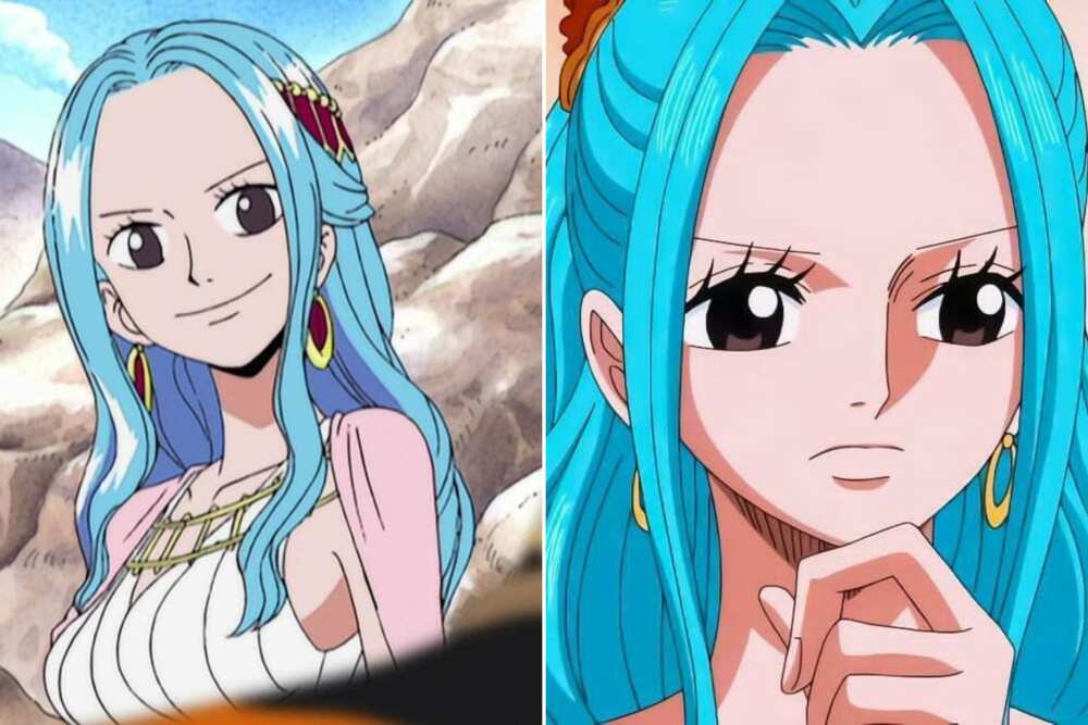 female one piece characters