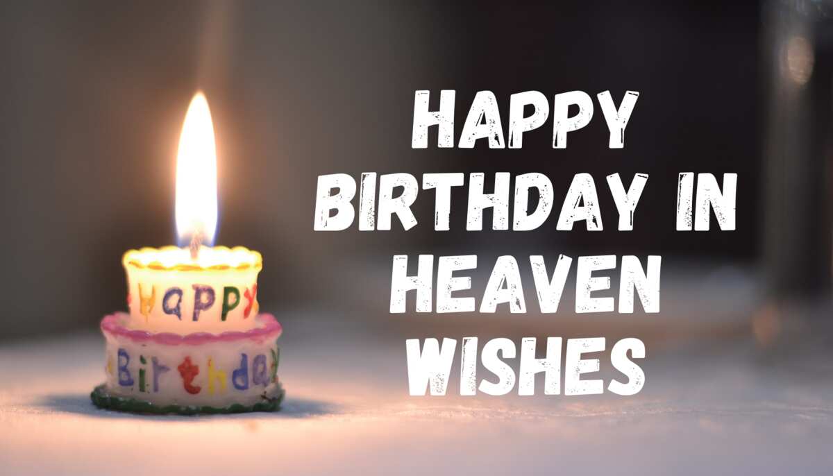 50 Best Happy Birthday In Heaven Wishes For Someone Special - Legit.Ng