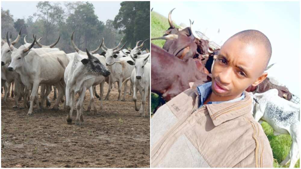 Adamu Dauda, from rearing cattle to a university lecturer