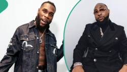 Burna Boy leads as he and Davido bag multiple nominations at the 2024 NAACP Awards