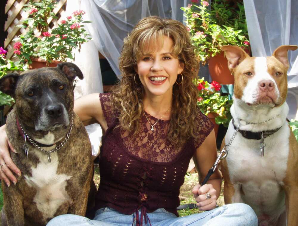 Linda Blair The Exorcist Linda Blair The Exorcist