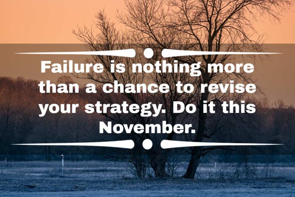 73 happy November quotes and sayings to the new month Legit.ng