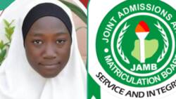 "The 2024 highest JAMB score so far": UTME score of intelligent girl schooling in the north emerges