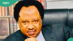 As Nigeria battles banditry and terrorism, Shehu Sani discloses challenges' differences