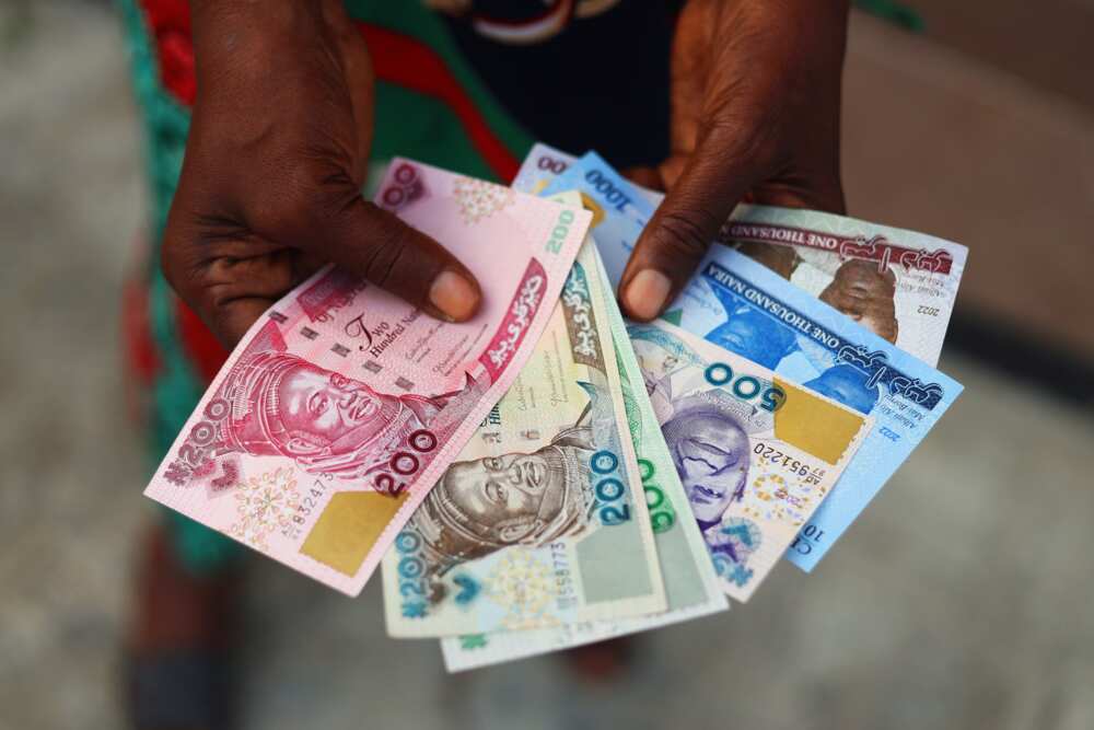 Nigerian currency notes Nigerian currency notes