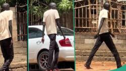 "A true giant of Africa": Tall man attracts public attention while walking on street road