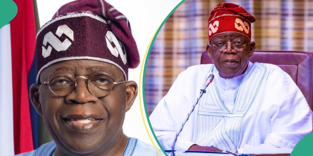 Tinubu reveals priority areas of his administration