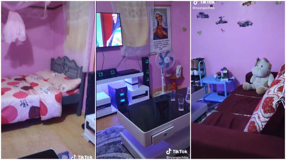 Man Divides Rented 1 Room Apartment, Turns It to His “Palace”, Decorates It With Flat TV, Fine Cabinet