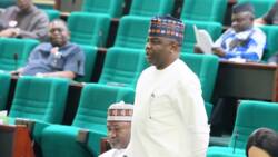 Another top candidate emerges, to fight for House of Reps speakership