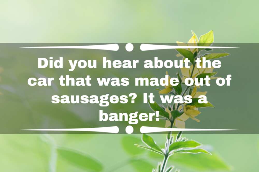 90+ funny car puns, jokes and one-liners that will leave you honking - 90+ funny car puns, jokes and one-liners that will leave you honking -