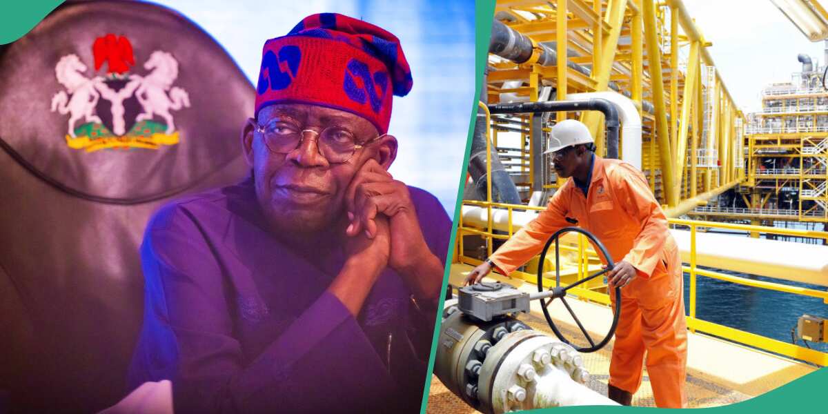 Oil bunkery: Niger-Delta group cries to Tinubu on activites of cabal