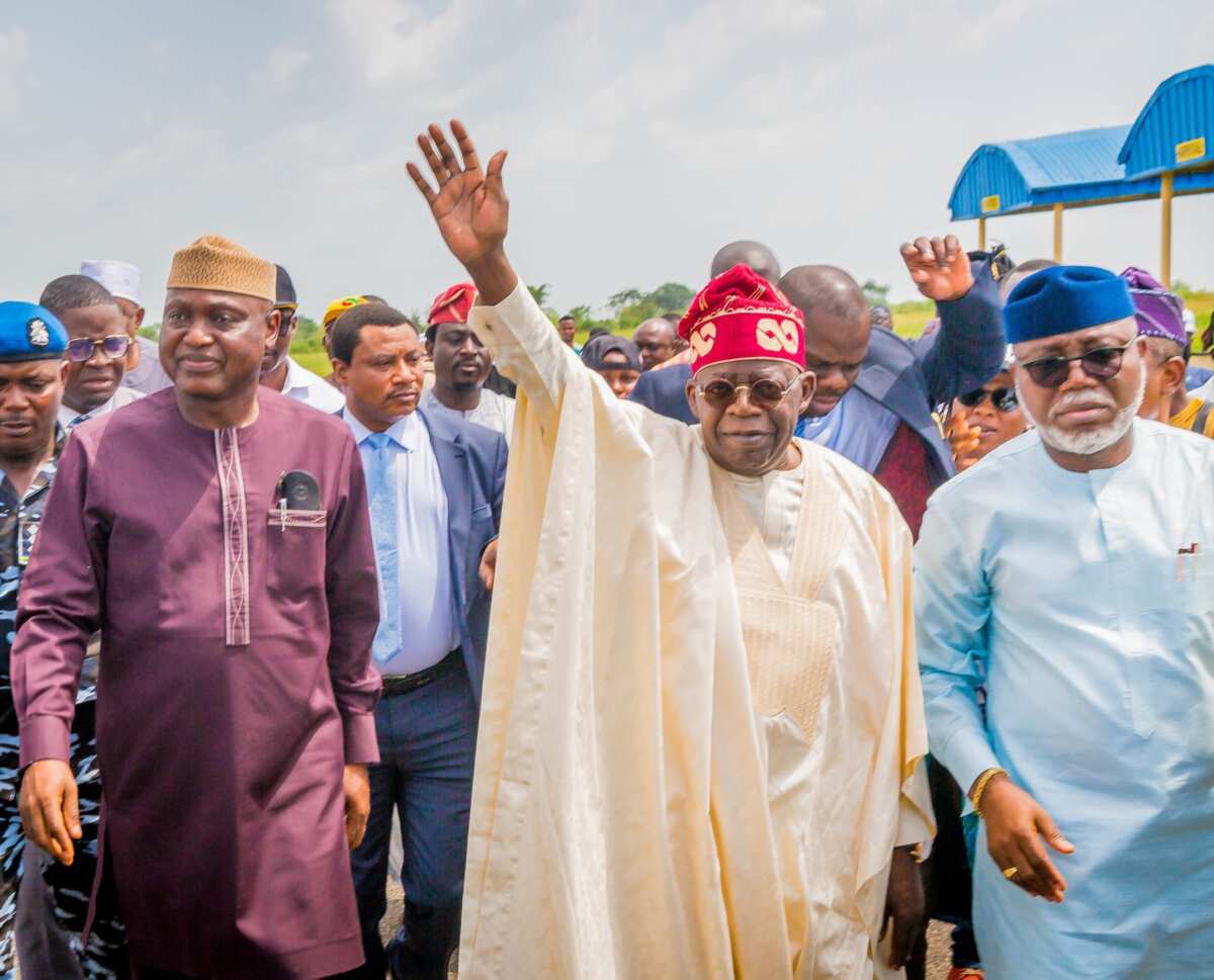 Afenifere tells Tinubu what to do if he becomes Nigeria president