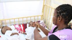 Parents of Abuja conjoined twins speak on challenges, fears and their 'miracle' babies