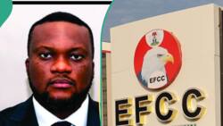 After Obasanjo's ex-minister, EFCC declares another man wanted