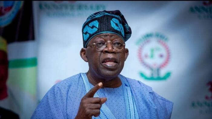 2023-presidency-did-tinubu-truly-bear-yekini-amoda-ogunlere-new-report-clears-air-legit-ng