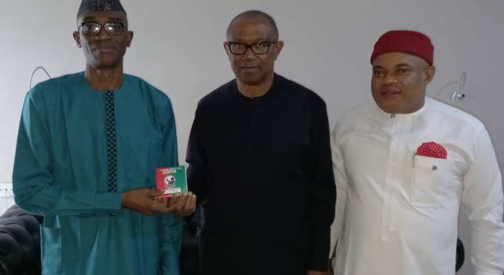 2023 Presidency, Peter Obi, Doyin Okupe