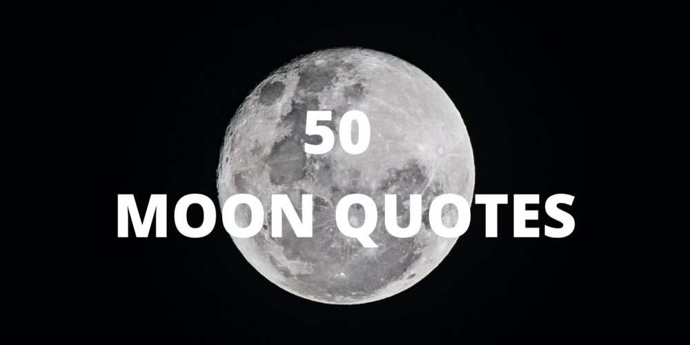 Moon quotes