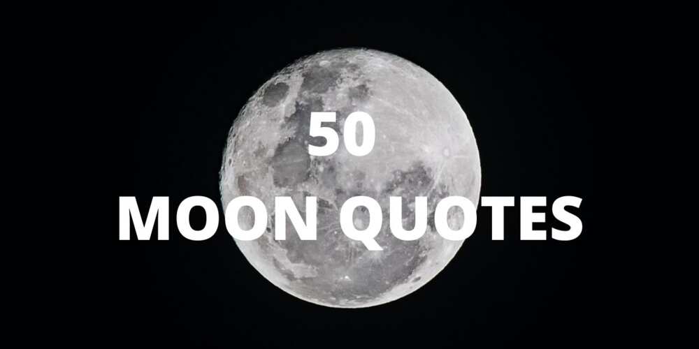 moon quotes and sayings