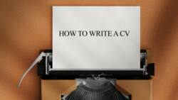 How to write a good CV for a fresh graduate: samples, tips, more